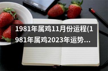 1981年属鸡11月份运程(1981年属鸡2025年运势)