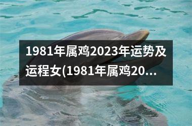 1981年属鸡2025年运势及运程女(1981年属鸡2025年运势及运程每月运程)