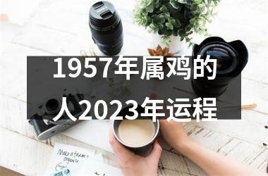 1957年属鸡的人2025年运程