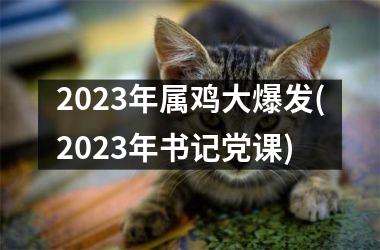 2025年属鸡大爆发(2025年书记课)