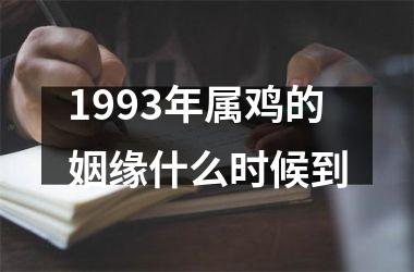 <h3>1993年属鸡的姻缘什么时候到