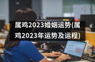 属鸡2025婚姻运势(属鸡2025年运势及运程)