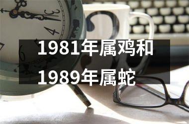 1981年属鸡和1989年属蛇