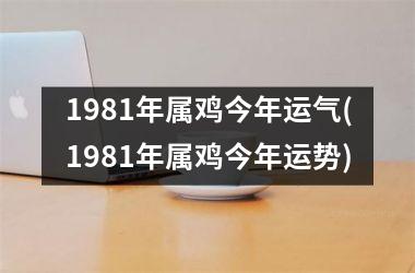 1981年属鸡今年运气(1981年属鸡今年运势)