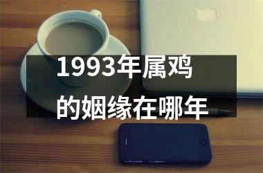 1993年属鸡的姻缘在哪年