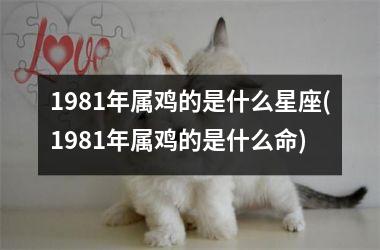 1981年属鸡的是什么星座(1981年属鸡的是什么命)