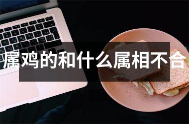 属鸡的和什么属相不合