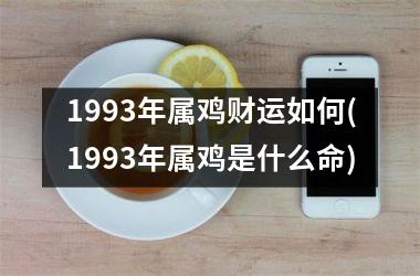 1993年属鸡财运如何(1993年属鸡是什么命)