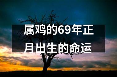 属鸡的69年正月出生的命运