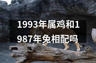 1993年属鸡和1987年兔相配吗