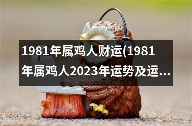 1981年属鸡人财运(1981年属鸡人2025年运势及运程每月运程)