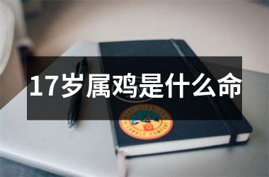 17岁属鸡是什么命