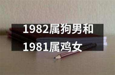 1982属狗男和1981属鸡女