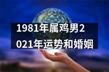 1981年属鸡男2025年运势和婚姻