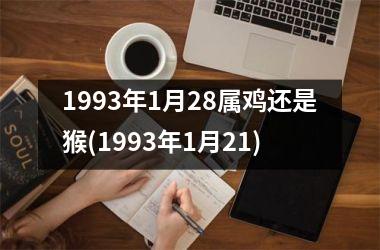 1993年1月28属鸡还是猴(1993年1月21)