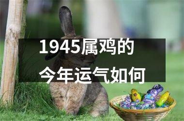 1945属鸡的今年运气如何