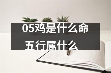 05鸡是什么命 五行属什么