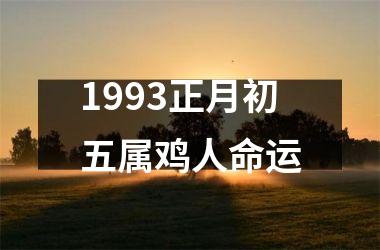 1993正月初五属鸡人命运