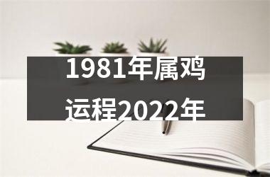 1981年属鸡运程2025年