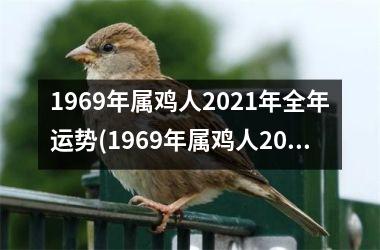 1969年属鸡人2021年全年运势(1969年属鸡人2023年运势运程每月运程)