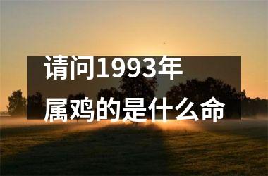 请问1993年属鸡的是什么命