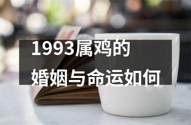 <h3>1993属鸡的婚姻与命运如何