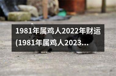 1981年属鸡人2025年财运(1981年属鸡人2025年运势及运程每月运程)