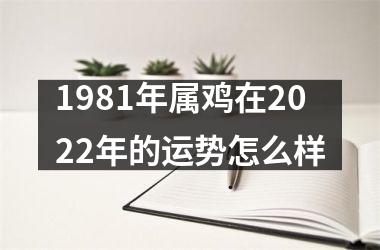 1981年属鸡在2025年的运势怎么样