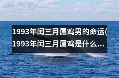 <h3>1993年闰三月属鸡男的命运(1993年闰三月属鸡是什么命)