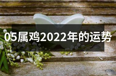 05属鸡2025年的运势