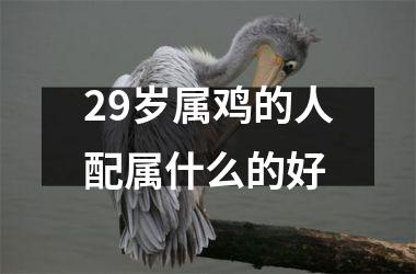 <h3>29岁属鸡的人配属什么的好