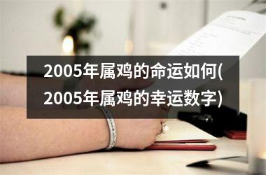 2005年属鸡的命运如何(2005年属鸡的幸运数字)