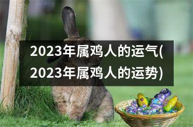 2025年属鸡人的运气(2025年属鸡人的运势)