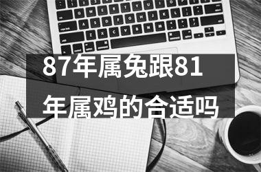 87年属兔跟81年属鸡的合适吗