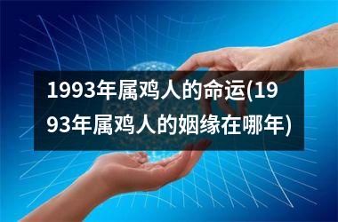 1993年属鸡人的命运(1993年属鸡人的姻缘在哪年)