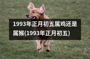 1993年正月初五属鸡还是属猴(1993年正月初五)