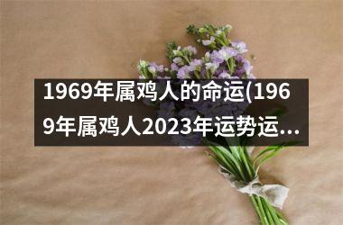 1969年属鸡人的命运(1969年属鸡人2025年运势运程每月运程)