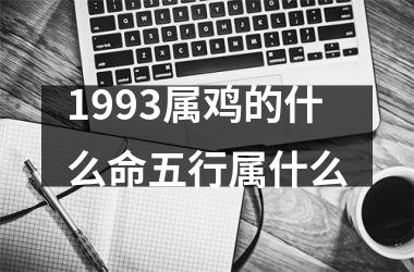 1993属鸡的什么命五行属什么