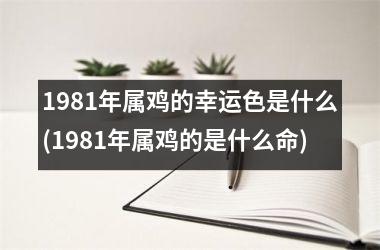 1981年属鸡的幸运色是什么(1981年属鸡的是什么命)