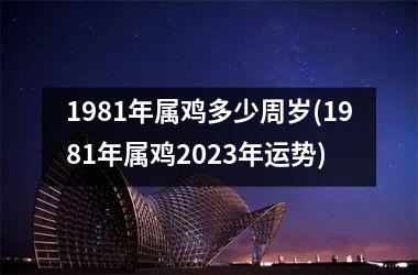 1981年属鸡多少周岁(1981年属鸡2025年运势)