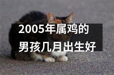 2005年属鸡的男孩几月出生好