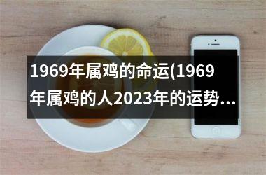 1969年属鸡的命运(1969年属鸡的人2025年的运势及运程)