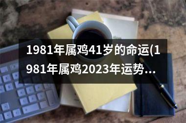 1981年属鸡41岁的命运(1981年属鸡2025年运势)