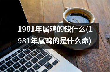 1981年属鸡的缺什么(1981年属鸡的是什么命)