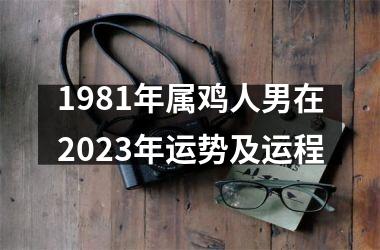 1981年属鸡人男在2025年运势及运程