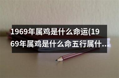 1969年属鸡是什么命运(1969年属鸡是什么命五行属什么)