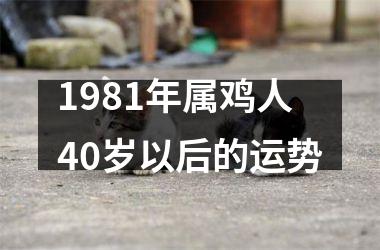 1981年属鸡人40岁以后的运势