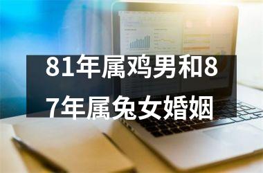 81年属鸡男和87年属兔女婚姻