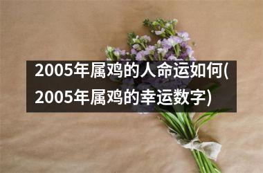 2005年属鸡的人命运如何(2005年属鸡的幸运数字)