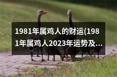 1981年属鸡人的财运(1981年属鸡人2025年运势及运程每月运程)